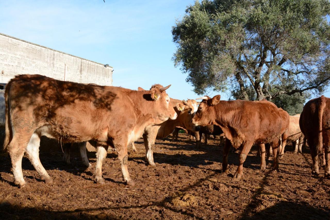 Masseria Rifisa Agriresort Caprarica di Lecce Eksteriør bilde